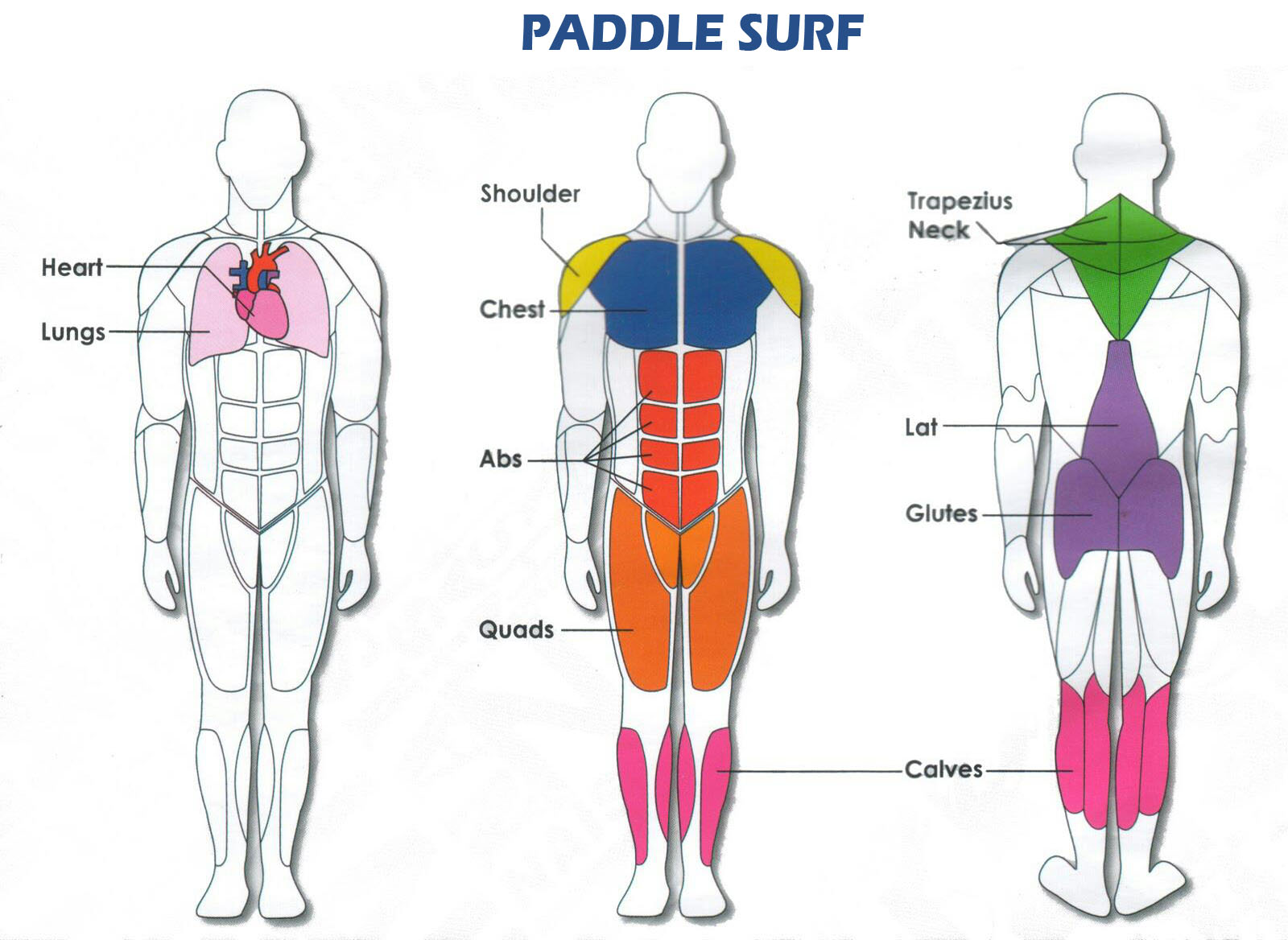 trabajo-paddle-surf